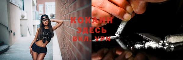 метадон Алексин