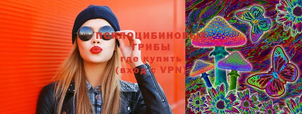 прущий лед Алзамай