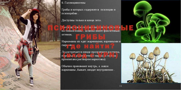 метадон Алексин