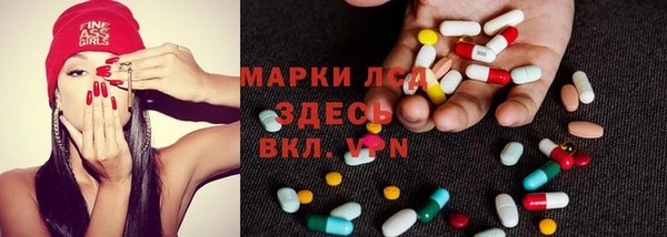 прущий лед Алзамай