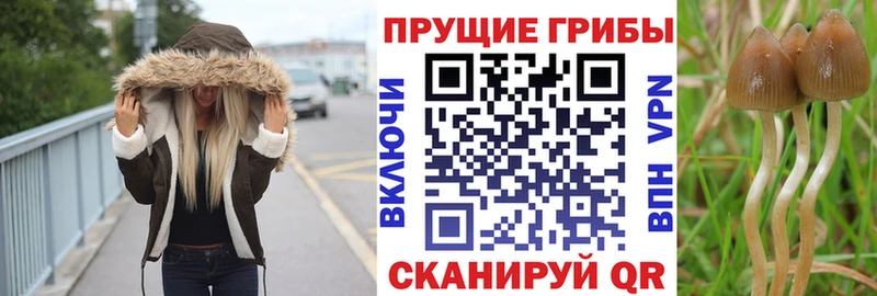 hydra ссылка  купить наркотик  Черепаново  Галлюциногенные грибы ЛСД 