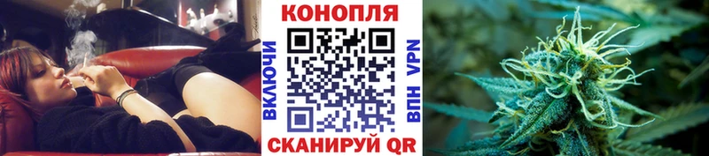 Бошки марихуана сатива  Черепаново 